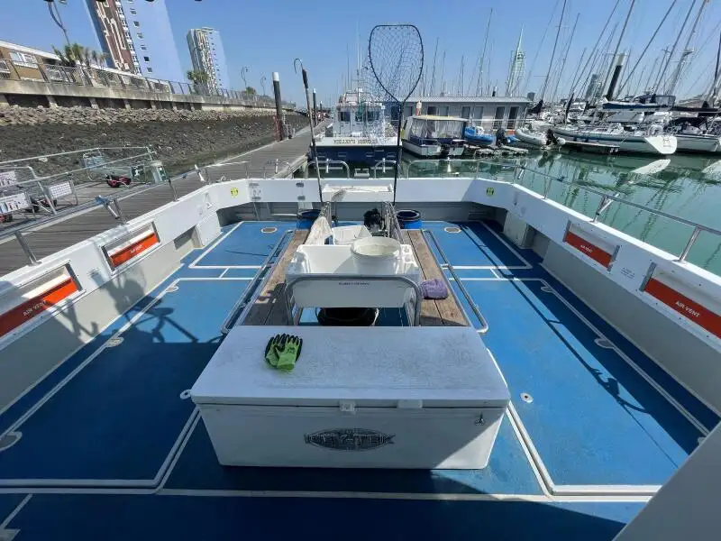 Catamaran de vânzare