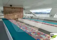 Navă de pasageri de vânzare