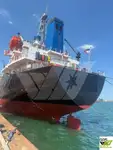 Nava de transport marfă vrac de vânzare