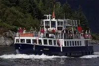 Navă cu feribotul de vânzare