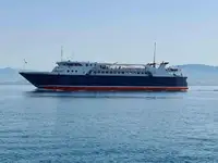 Navă RoPax de vânzare