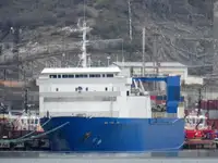 Nava de transport marfă vrac de vânzare