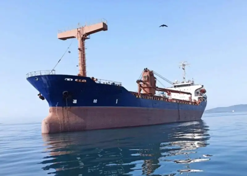 Nava de transport marfă vrac de vânzare