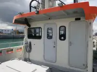 Catamaran de vânzare