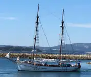 Navă de feribot de vânzare