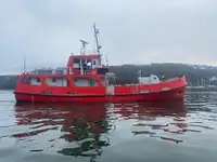 Nava de inspecție de vânzare