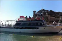 Navă de feribot de vânzare