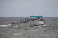 Navă de pasageri de vânzare
