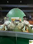Navă Ro-Ro de vânzare