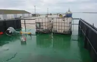 Barjă de vânzare