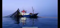 Trawler de vânzare