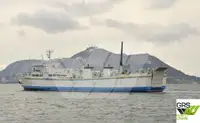 Ro-Ro ship de vânzare