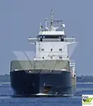 Nava de transport marfă vrac de vânzare
