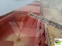 Nava de transport marfă vrac de vânzare