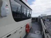 Catamaran de vânzare
