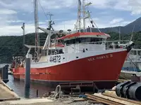 Fier vechi de vânzare