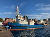 Remorcher de vânzare