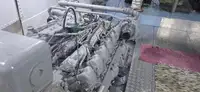 Navă de croazieră de vânzare