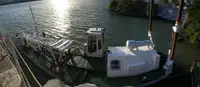 Dragă de vânzare