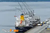 Nava de transport marfă vrac de vânzare