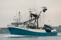 Nava de pescuit cu plase purseine de vânzare