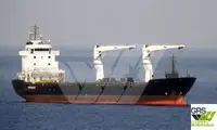Nava de transport marfă vrac de vânzare