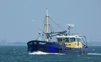 Nava de pescuit cu plase tip traul de vânzare
