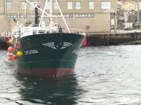 Nava de pescuit tip trauler de vânzare