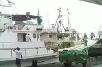 Longliner de vânzare