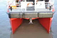 Catamaran de vânzare