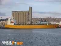 Ro-Ro ship de vânzare