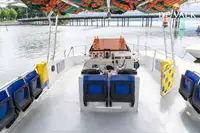 Navă de feribot de vânzare