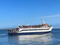Nava de pasageri de vânzare