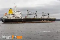 Nava de transport marfă vrac de vânzare