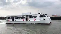 Catamaran de vânzare
