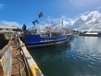 Nava de pescuit tip trauler de vânzare