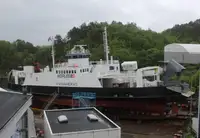Navă de feribot de vânzare