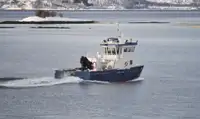 Remorcher de vânzare