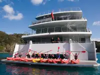 Catamaran de vânzare