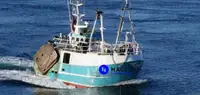 Beam trawler de vânzare