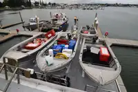 Nava de pescuit tip trauler de vânzare