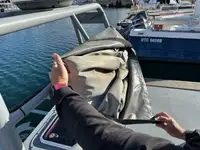 Ambarcațiune de patrulare de vânzare