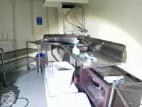 Navă de croazieră de vânzare