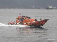 Remorcher de vânzare