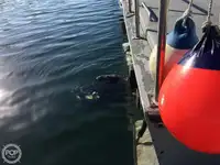 Nava de pescuit tip trauler de vânzare