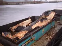 Barjă de vânzare