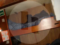 Nava transportoare de pește viu de vânzare