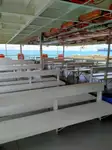 Navă de croazieră de vânzare