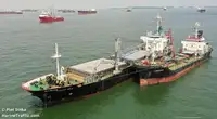 Nava de transport marfă vrac de vânzare