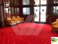 Navă de croazieră de vânzare